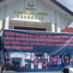 Logopit_1749015186201