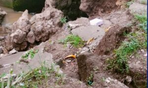 Logopit_1765539262436