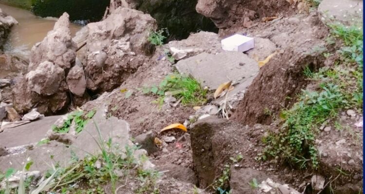 Logopit_1765539262436